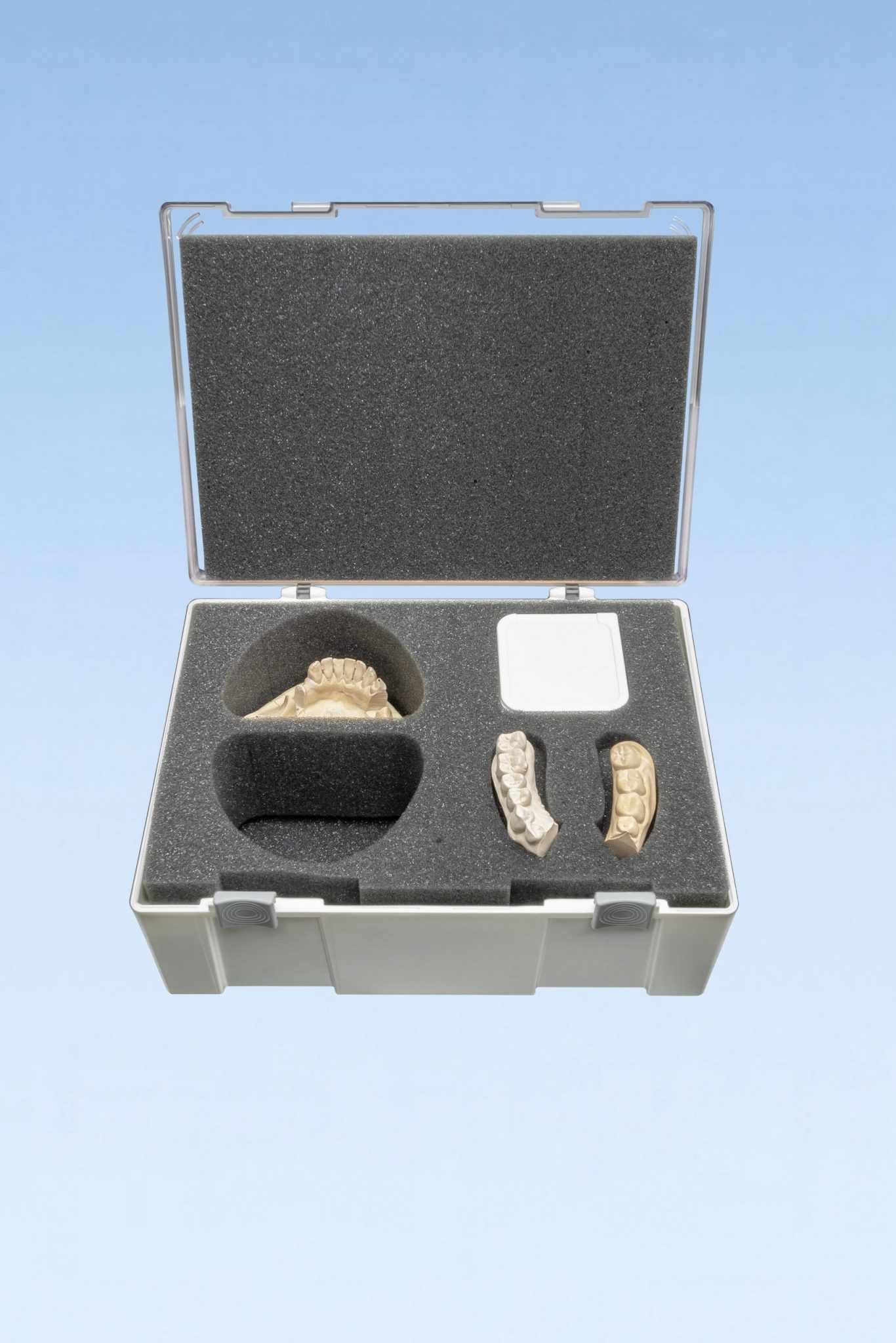 Neue Versand- und Präsentationsboxen für Dental-Bereich